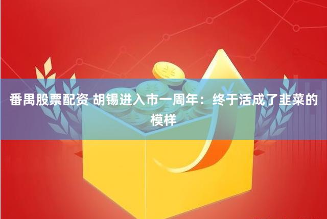 番禺股票配资 胡锡进入市一周年：终于活成了韭菜的模样