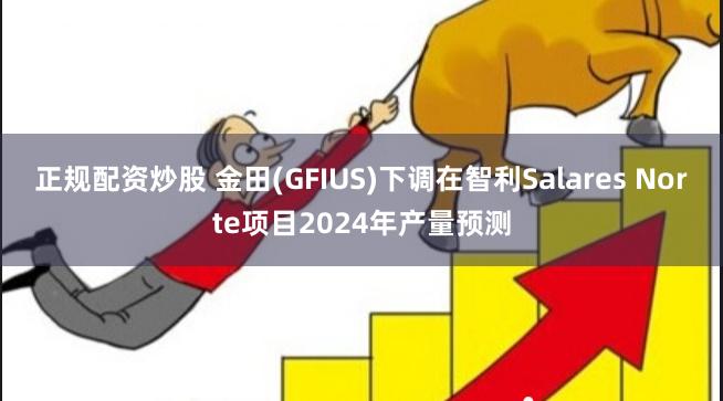 正规配资炒股 金田(GFIUS)下调在智利Salares Norte项目2024年产量预测