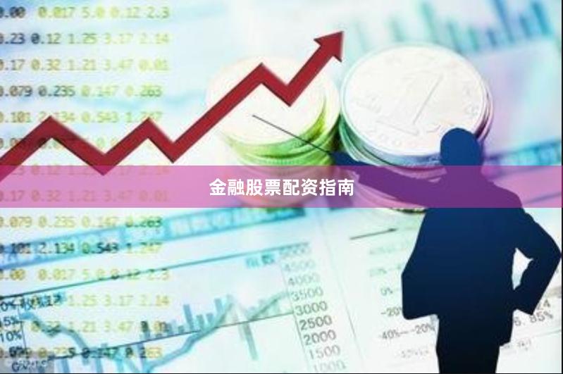 金融股票配资指南